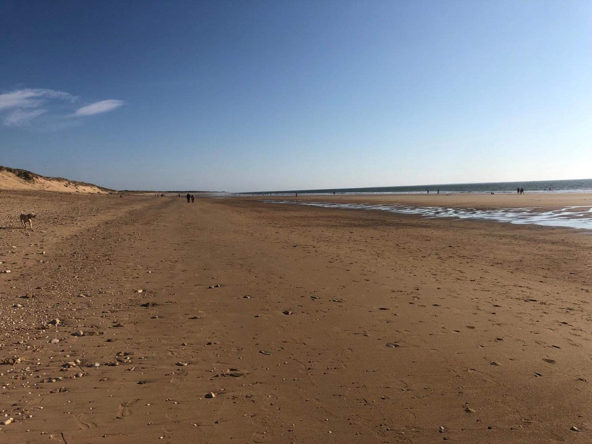 Maison typique/SPA/ Wifi/20 min plage La Jonchere Extérieur photo